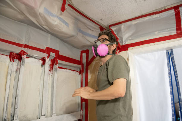 Best Industrial Mold Remediation  in Tipton, IA