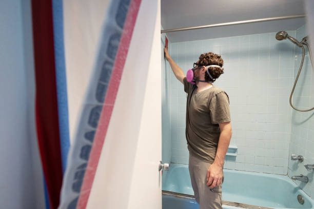 Best Mold Damage Restoration  in Tipton, IA