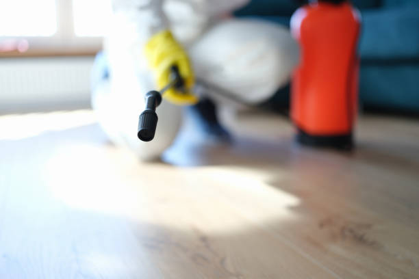 Mold Remediation for Vacation Homes in Tipton, IA