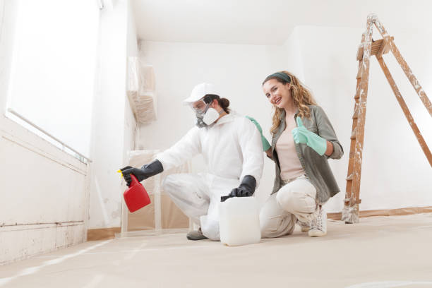 Best Dehumidification Services  in Tipton, IA